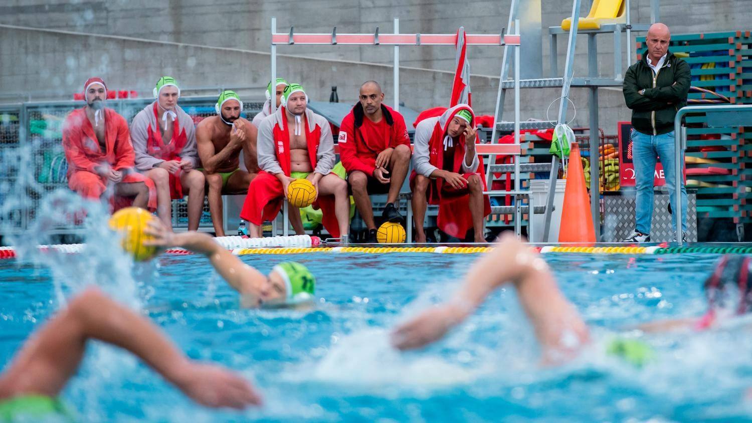 La panchina degli Sharks a bordo vasca durante una partita: sabato 17 ottobre la squadra torna a giocare in casa, contro il San Gallo, nella prima giornata dello Swiss Trophy.
